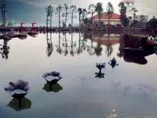 天骄峰景品质小区,大平层四房,园林漂靓