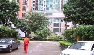 滨江东电梯平层小户型低首付南北通透临江小区
