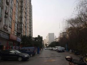 都市金岸3室1厅东西