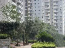 空港广场 住家精装大两房 诚心出售 带屋顶花园