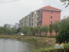 夏阳·顺驰蓝湾锦都·3室·2厅