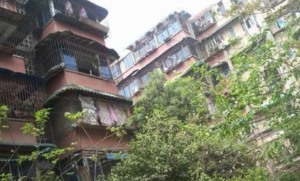 营策巷27号 1室1厅 东南