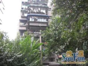 营策巷27号 1室1厅 东南