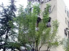 地铁口一房,次顶层,采光好,低总价,配套全