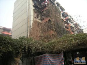营康西路80号2室2厅东
