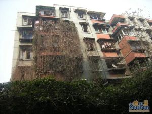 营康西路80号2室1厅东南