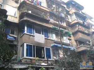 营康路61号1室1厅西南