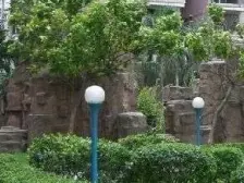 大学路10号 2室1厅 东