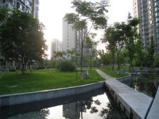 内环边白玉兰奖品质社区央座大三房复看白莲泾河