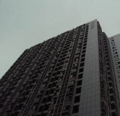 仁和金沙2室1厅东南
