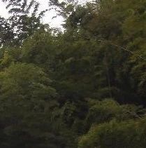 生物制品研究所家属院2室1厅南