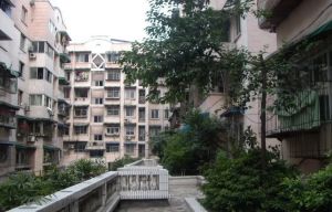 阳光花园(武侯)3室2厅南