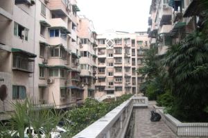 阳光花园(武侯)3室2厅南北