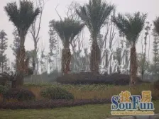 天德康都 3室1厅 南