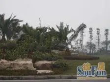 天德康都 2室1厅 北 南