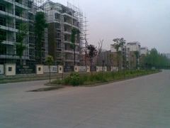金阳水景3室2厅东南
