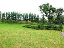 公园上的洋房 赠送面积大 住家精装 拎包入住