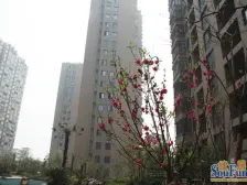 解放路 中大紫都,成熟小区,绿化好,业主诚心出售