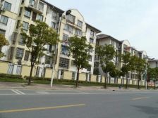 新上好房好楼层三房两卫让居住更从容