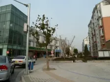 1楼带个院子 离江桥近 税少 走过路过不要错过