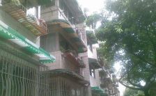 泰丰佳寓 3室2厅 南