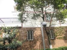 阳光世纪花园紫荆苑联排边户!可装电梯大联排南院子