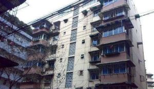 西府南街47号2室1厅东南