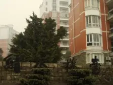 主城片区 城南市场三房