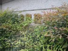 鲁迅公园·嘉宏紫薇园·2室·1厅