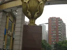 绿洲紫荆花园 3室2厅 东南 南