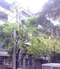 青华北二街6号2室2厅南