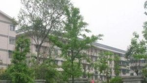 浣花南路218号2室1厅东西
