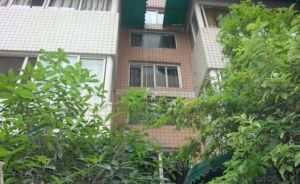 天府明珠花园 3室2厅 西北