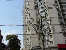 繁华地段,居家装修,采光充足,主卧朝南