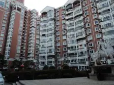 十年出一套,江景房顶楼复式,有露台,近滨江绿地跑道