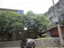 花山湾四区 配套完善 楼层好 采光充足