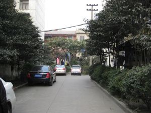 皇家花园3室2厅东南