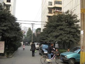 皇家花园2室1厅东东南南