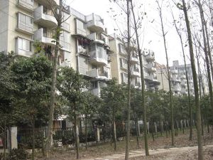 锦翠北苑 3室1厅 东 西