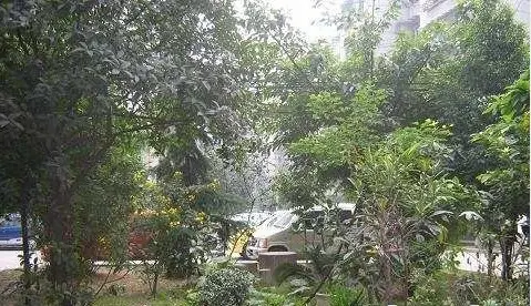 一环路西二段15号院