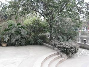 煤气总公司宿舍 2室1厅 南 北