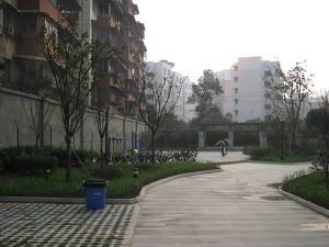 双景秀庭3室1厅东南