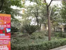 双楠水岸 2室1厅 南