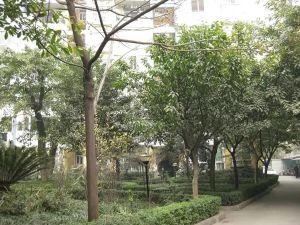 双楠水岸2室1厅东南