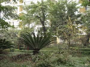 双楠水岸3室2厅南