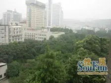 高滩岩科洋综合楼 1室1厅 东南