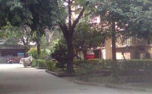 烽火新区3室2厅南