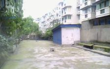 凤溪苑 2室2厅 东南