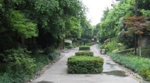 农行宿舍 3室2厅 东南