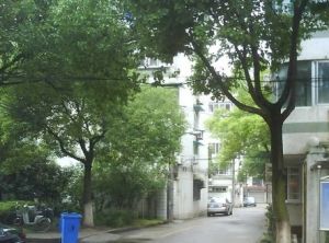 双华苑(天府新区)3室2厅东南